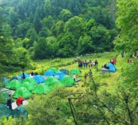 孟屯河谷露营+车子里采摘纯玩2日游，魔幻森林团建